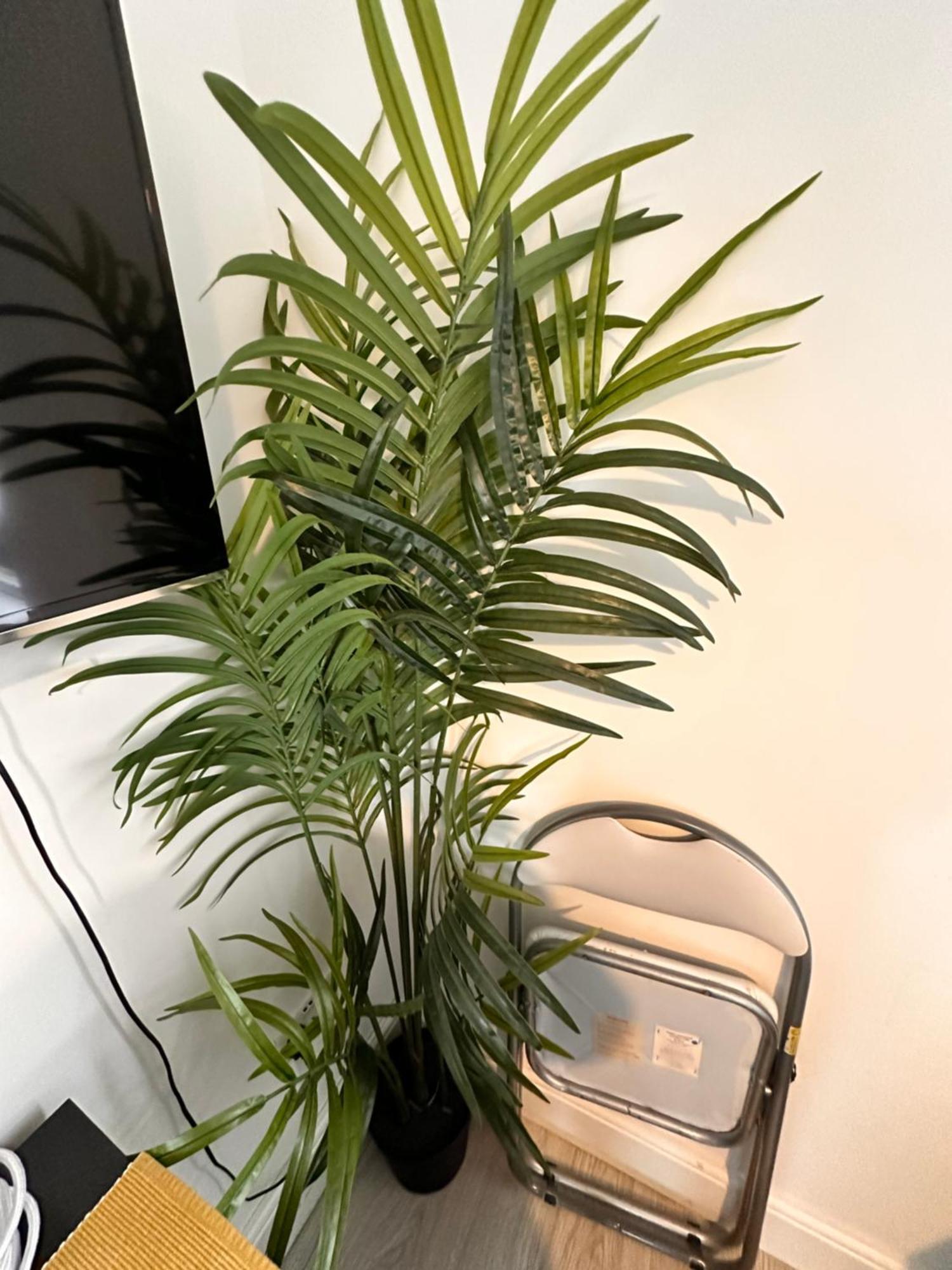 Lovely Self Contained Studio Now Available Londen Buitenkant foto